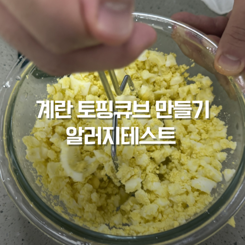 초기 토핑 이유식 계란 큐브 만들기 알러지테스트 베이비무브 조리법