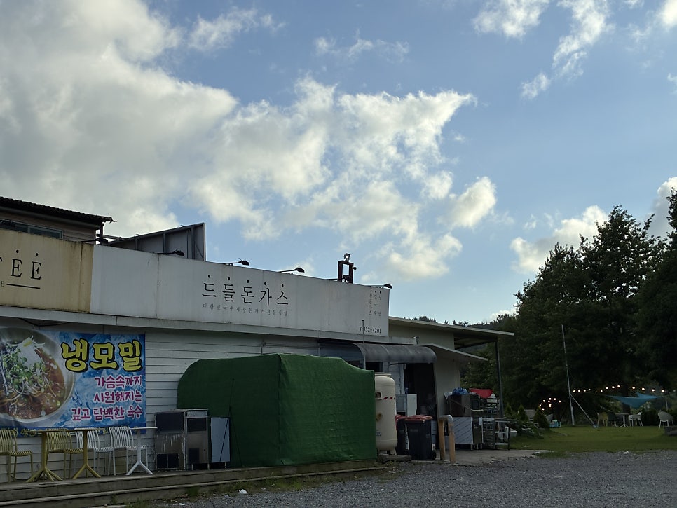 드들돈가스 사진 5