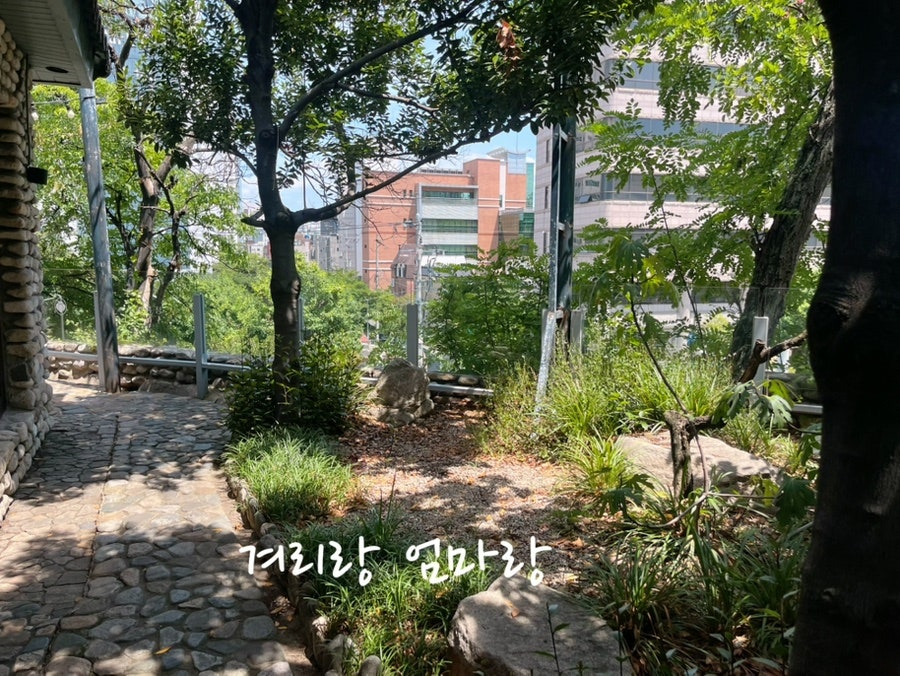 함지박 사진 4