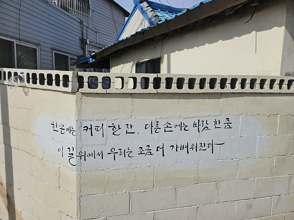 안목애 사진 2