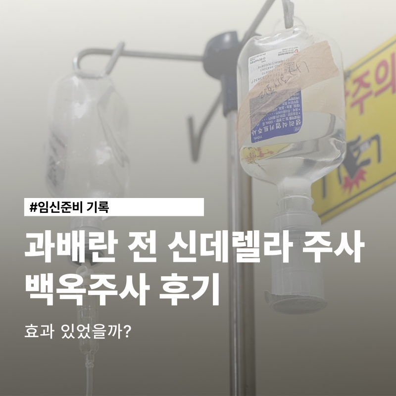 시험관 과배란 전 신데렐라주사 백옥주사 맞아봄 비용 효과는?