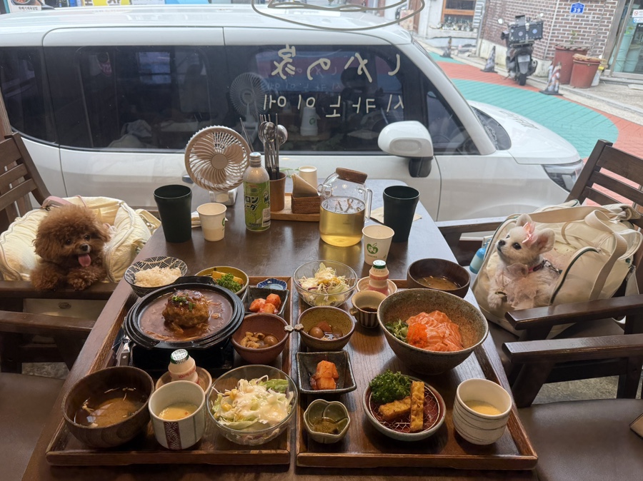 시카노이에 사진 6