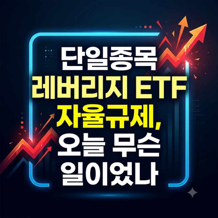 <b>단일종목 레버리지</b> ETF 자율<b>규제</b>, 오늘 무슨 일이었나