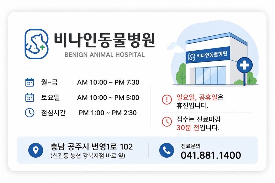 비나인동물병원 사진 2