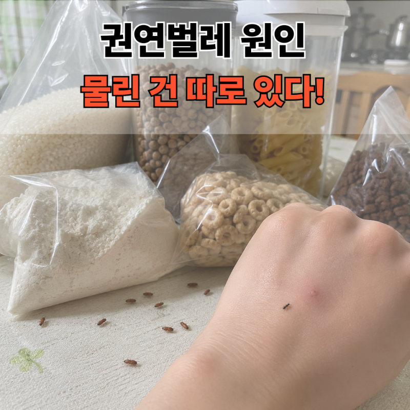 권연벌레 원인, 물린자국? 권연침벌 물린자국·퇴치법