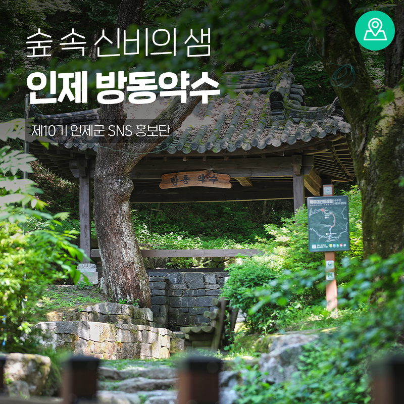 강원도 인제 숨은 명소, 숲속 신비의 샘 ‘방동약수’ [강원도 인제 가볼만한곳]