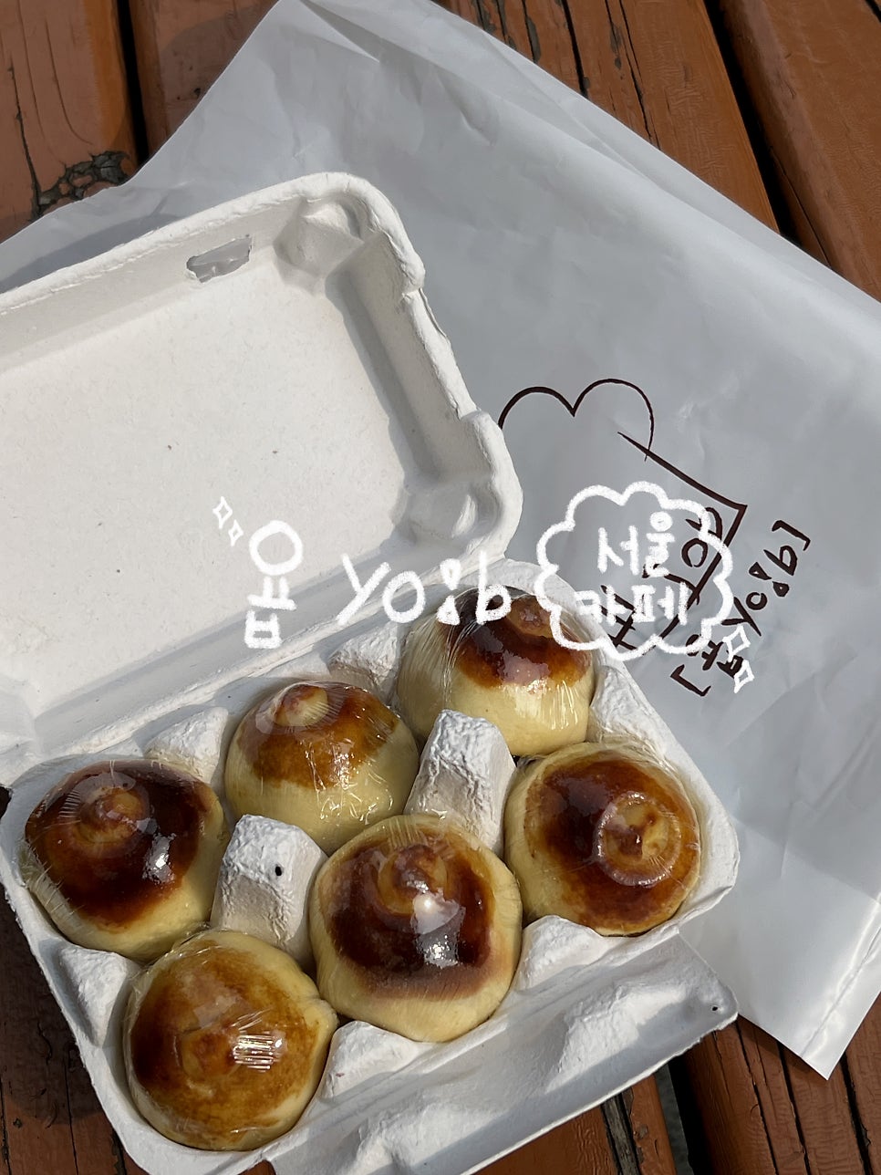 욥 사진 1