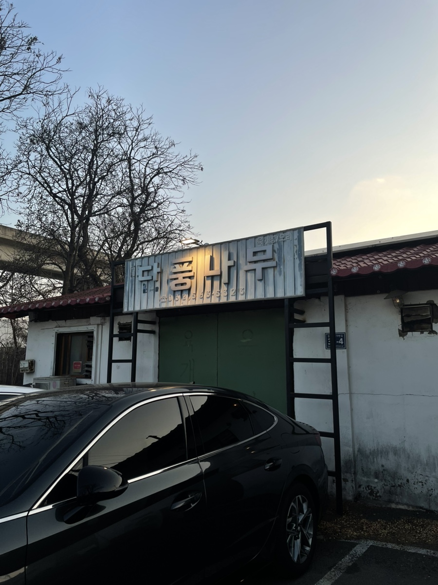 단풍나무 사진 1