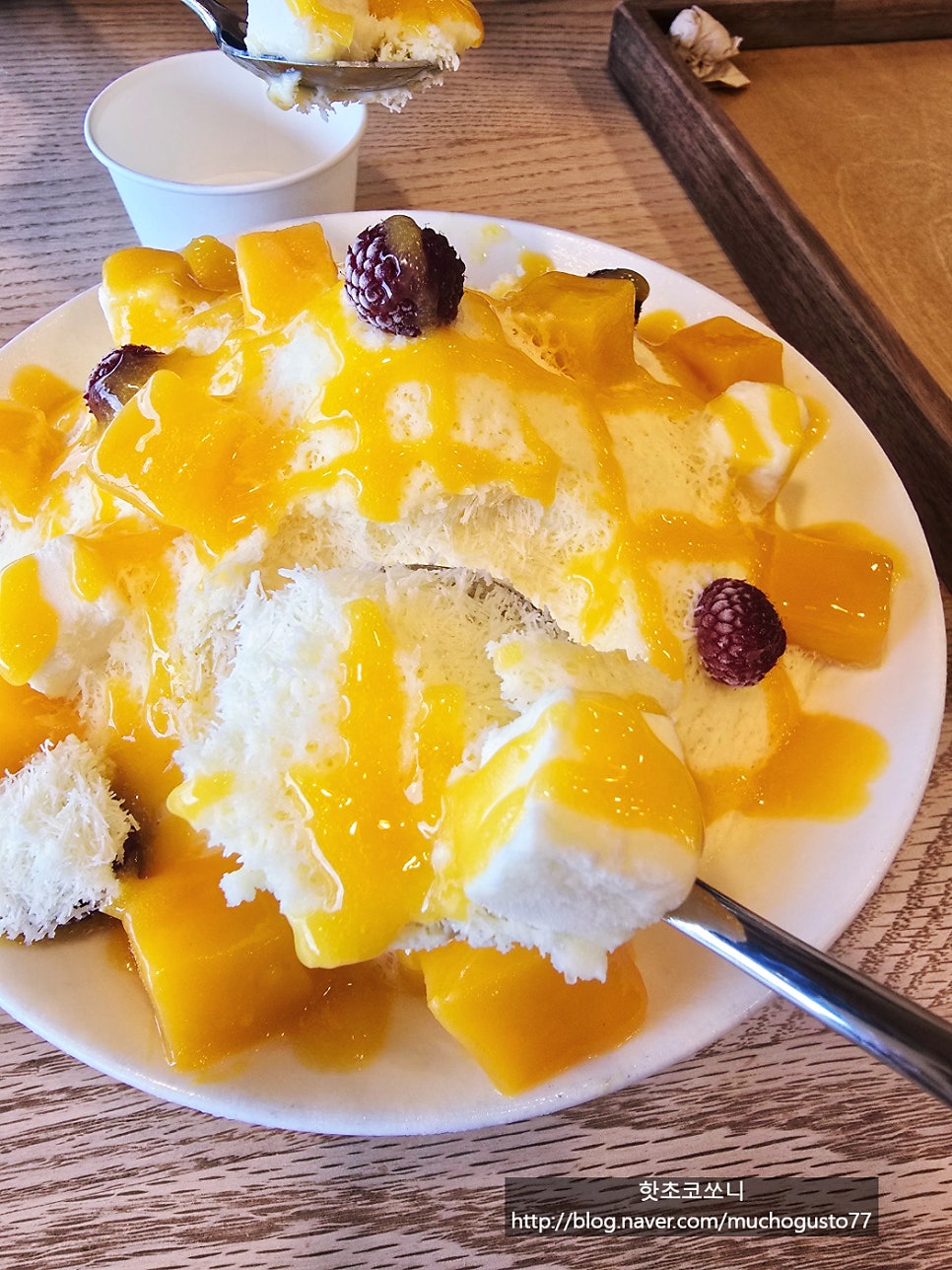커피와나무 사진 6