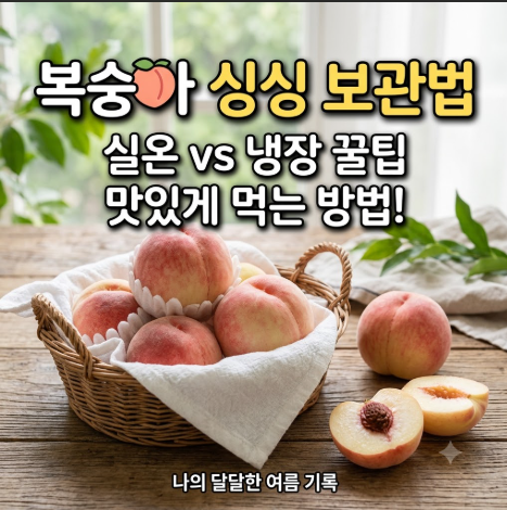 복숭아 보관법 싱싱하게 오래 먹는 방법 (딱딱이 말랑이 총정리!)