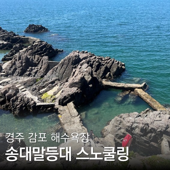 경주 감포 송대말등대 스노쿨링 스팟 물놀이 주차 및 샤워장, 화장실 후기