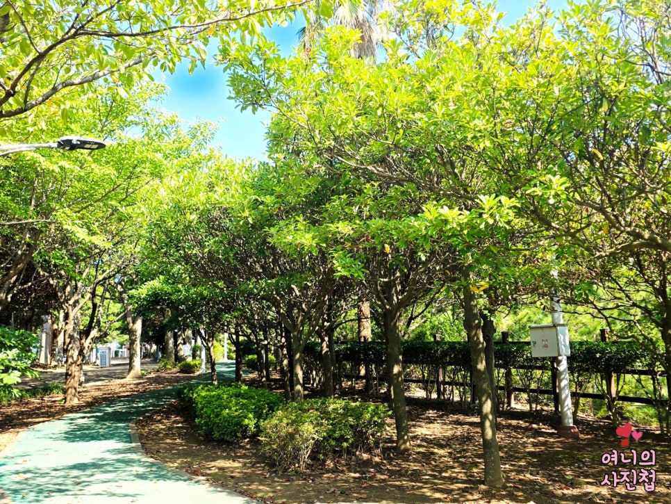 동고량 사진 4