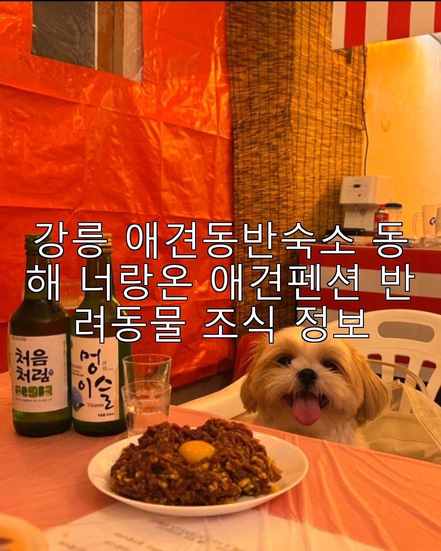 너랑온 사진 1