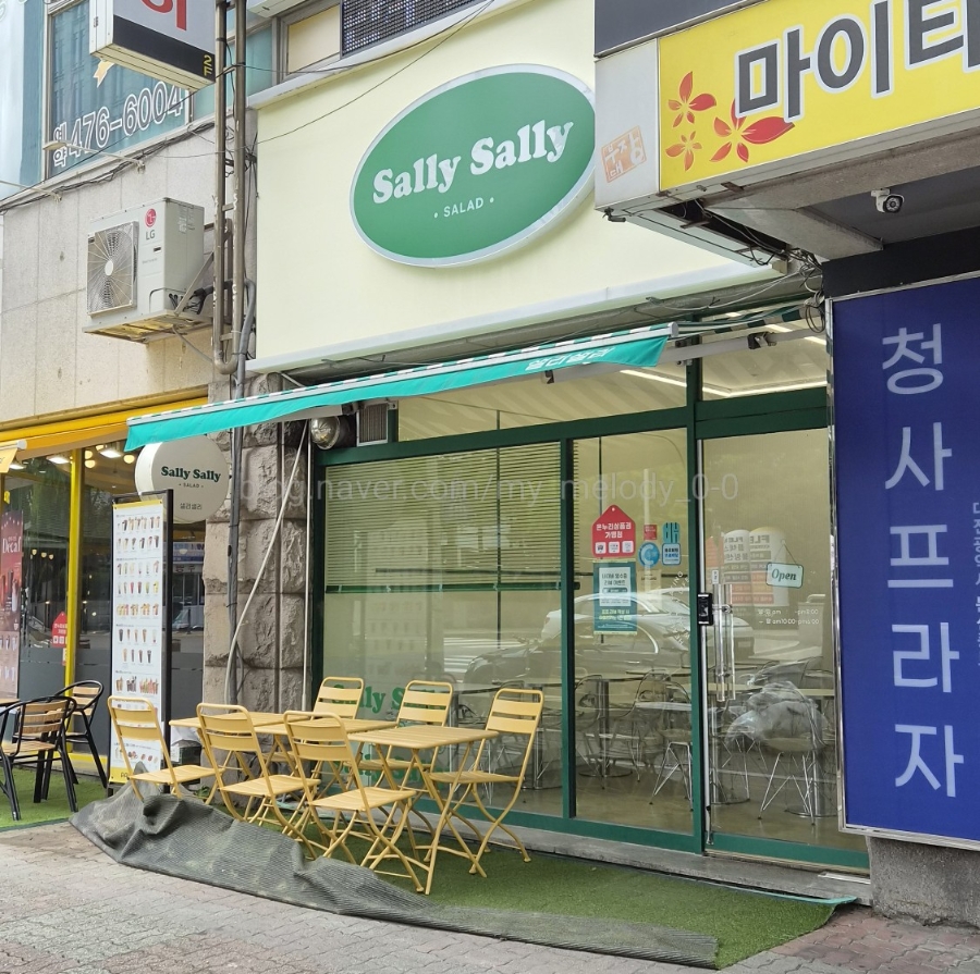 샐리샐리 사진 2