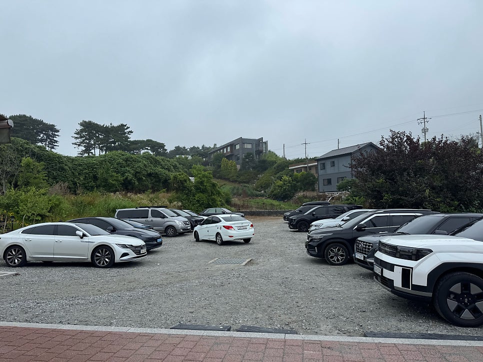 생생왕꽃게 사진 2