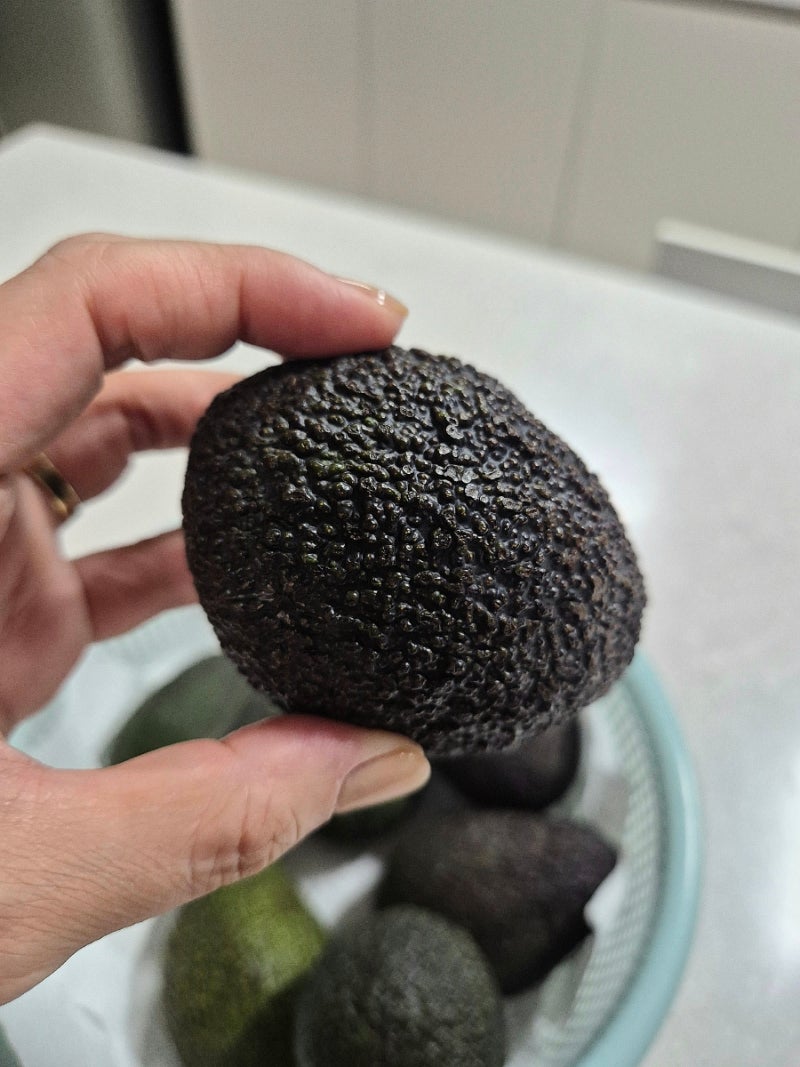 아보카도 효능부터 후숙, 보관법, 먹는 방법까지 한 번에 정리