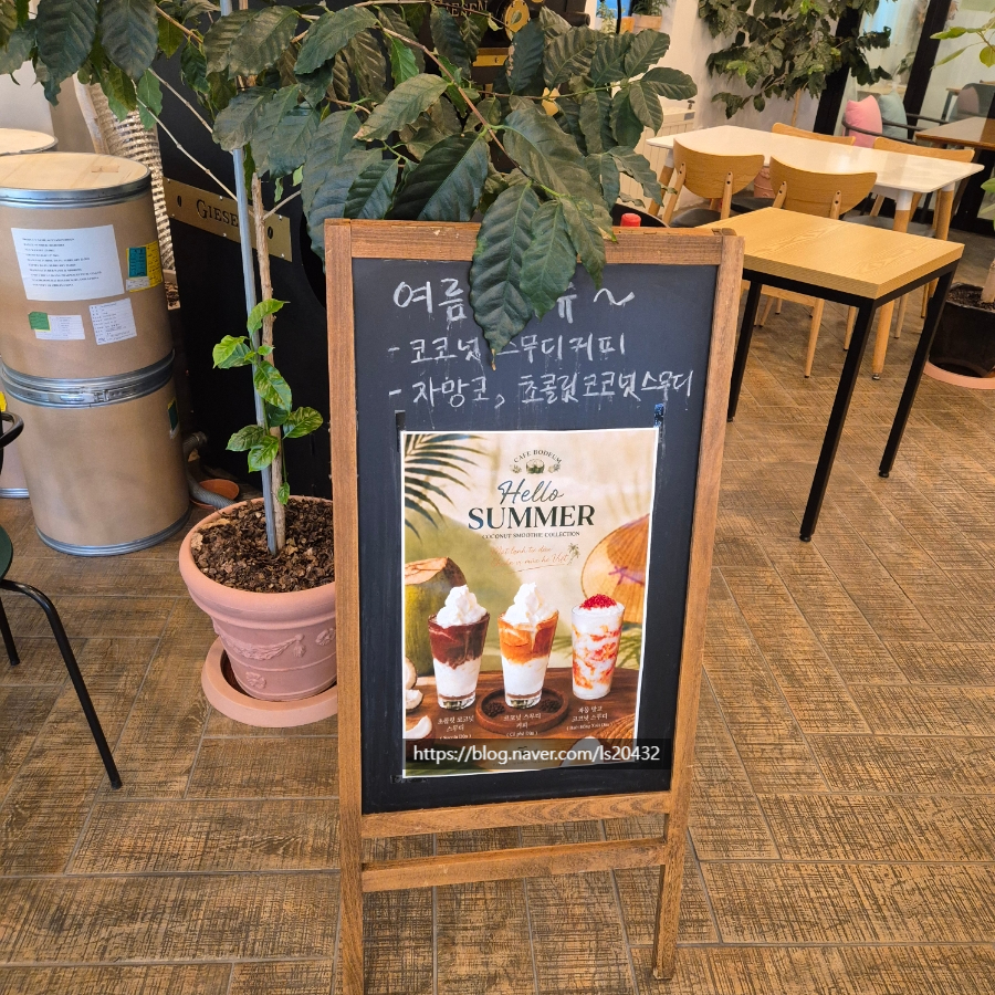 보듬 사진 6