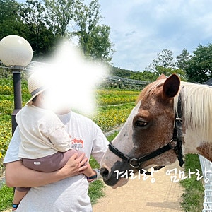 대구 동구 ) 팔공산 브런치달랏 카페 체험카페 아기랑 가면 좋을 카페 애견동반 가능
