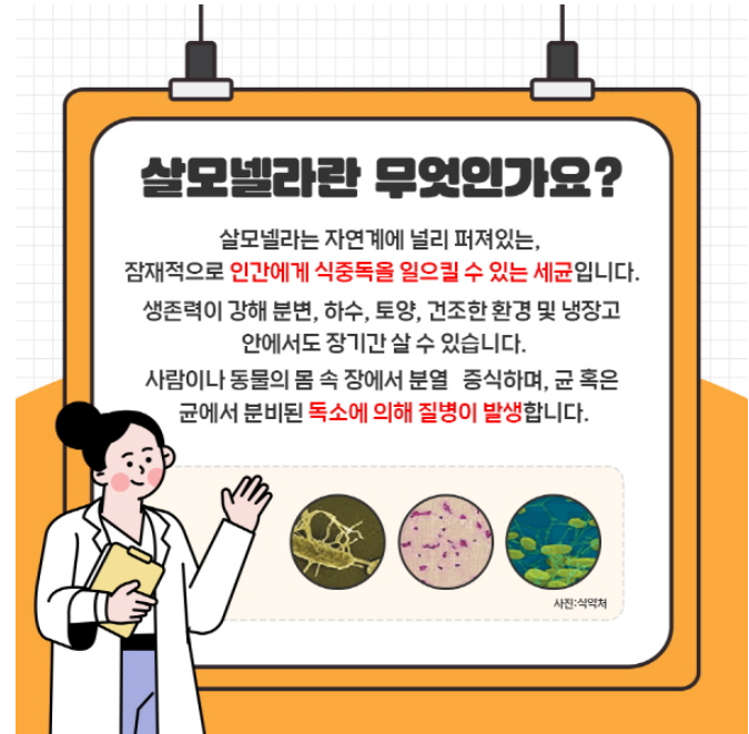 안양 평촌 어린이한의원에서 여름철 식중독의 대표 주자, 살모넬라균에 대해서 알려드릴께....