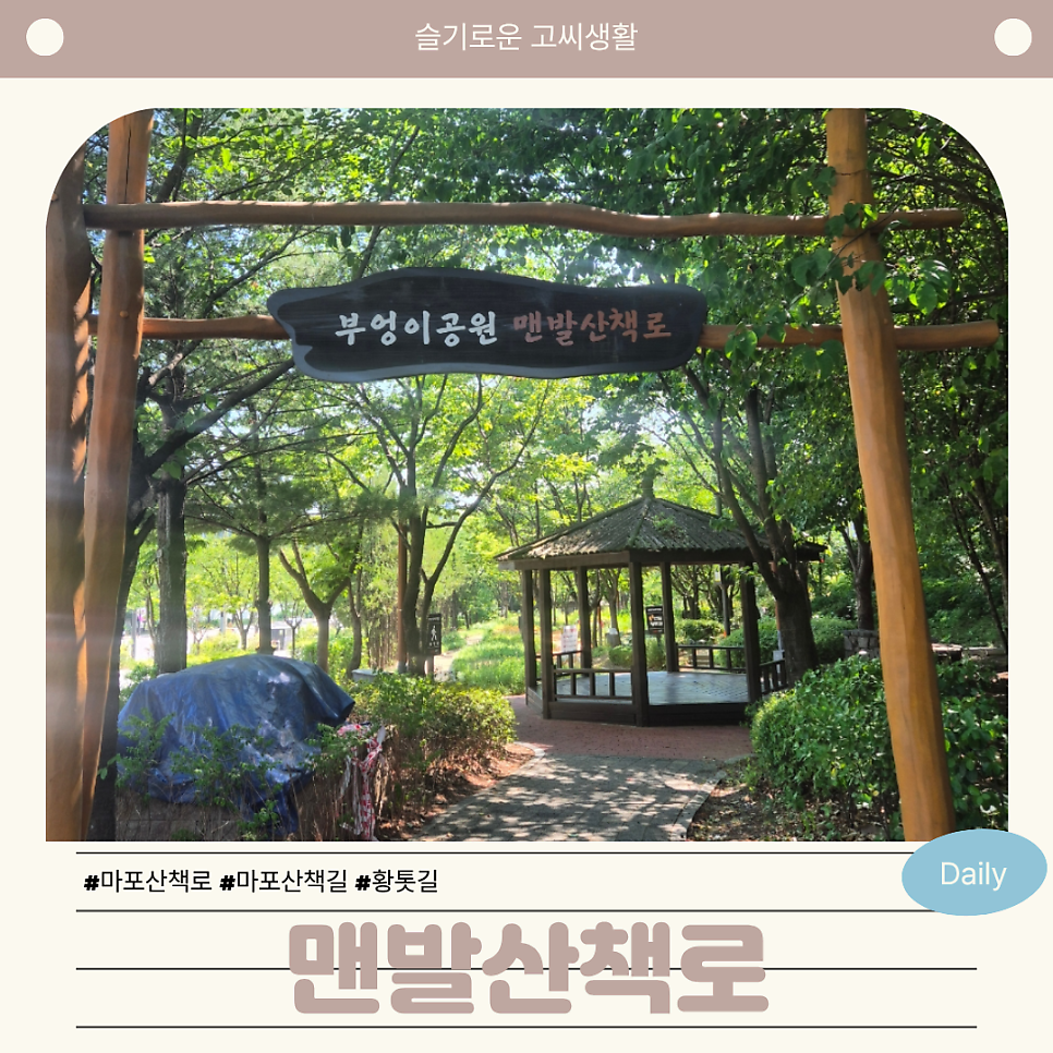 황톳길 사진 1