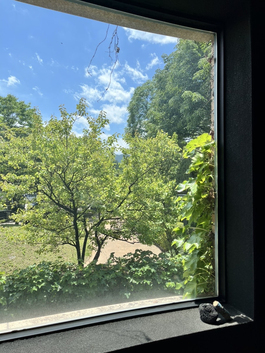 카페서희 사진 4