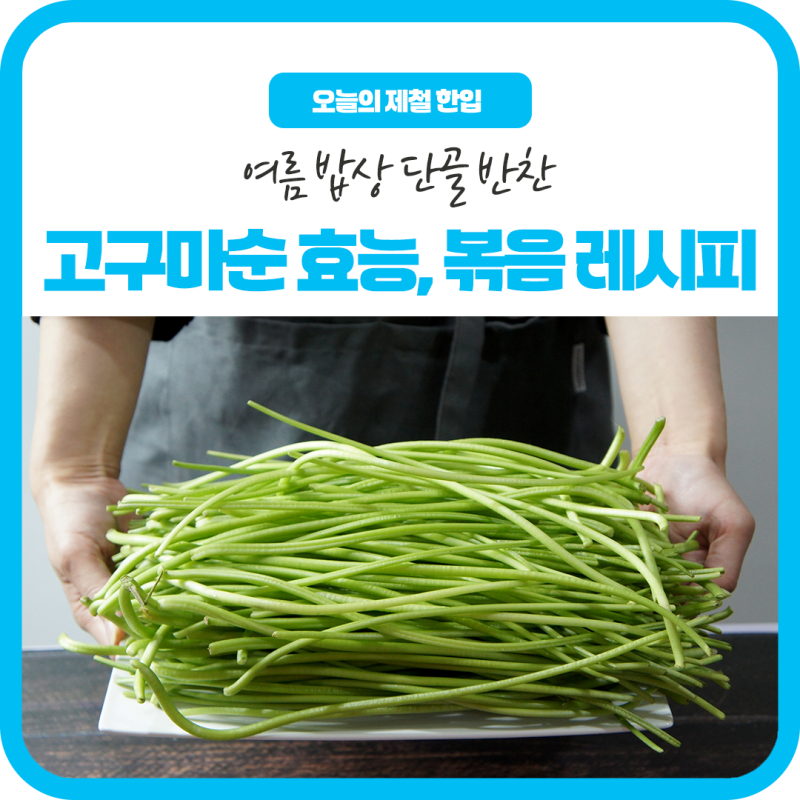 여름 밥상 단골 반찬, 고구마순 효능과 고구마순 볶음 레시피