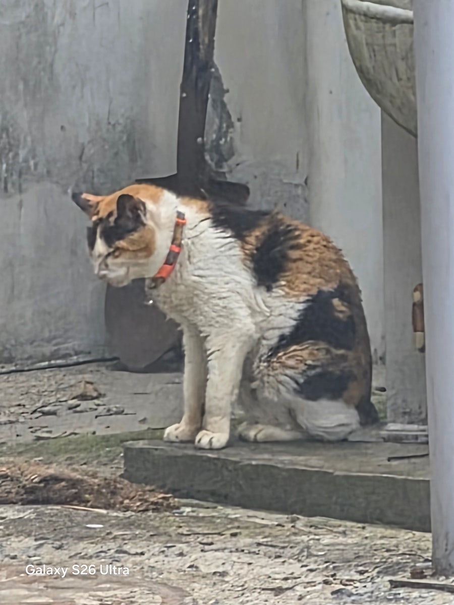향수민물매운탕장어구이 사진 2