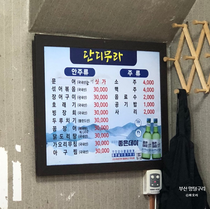 멍텅구리 사진 5