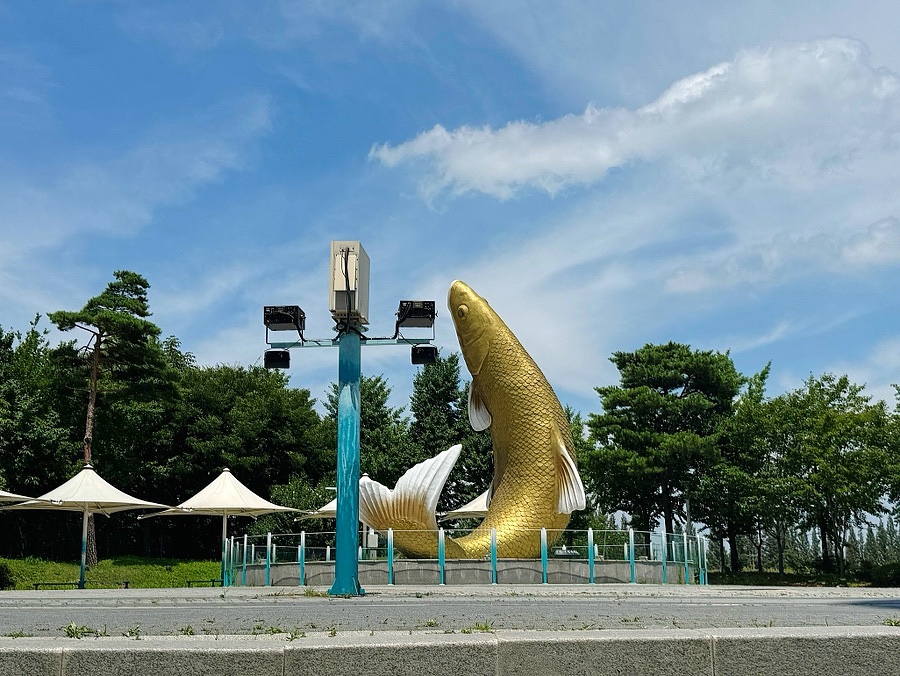 수향 사진 2