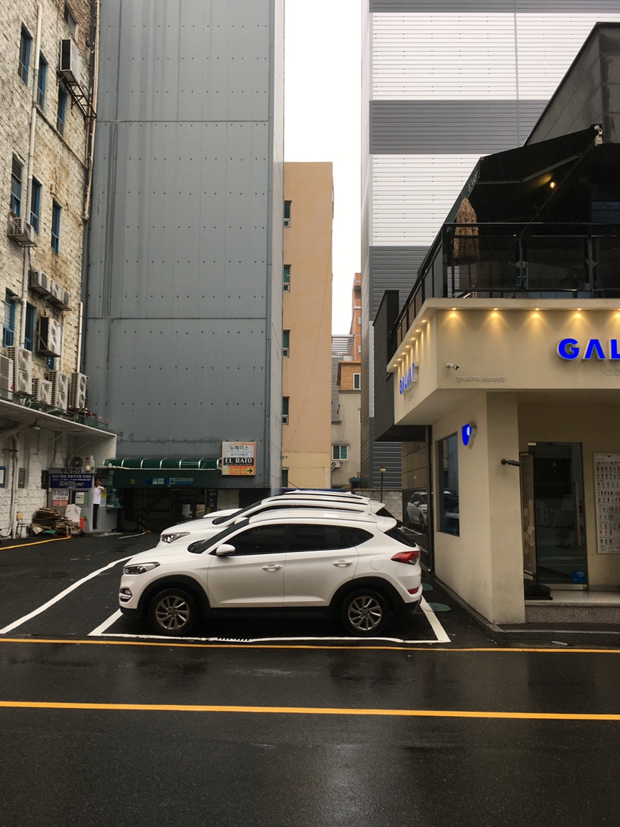 엘라토 울산점 사진 2