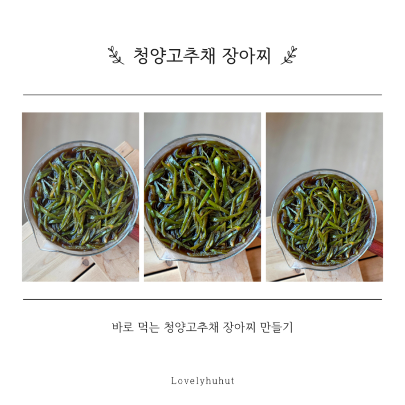 채썰어 담가 바로 먹는 청양고추채 장아찌 만들기