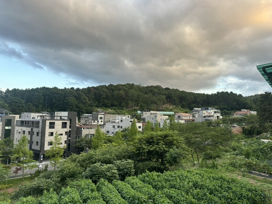 그린카페 사진 2