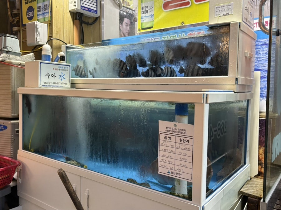 사량도자연산횟집 사진 3