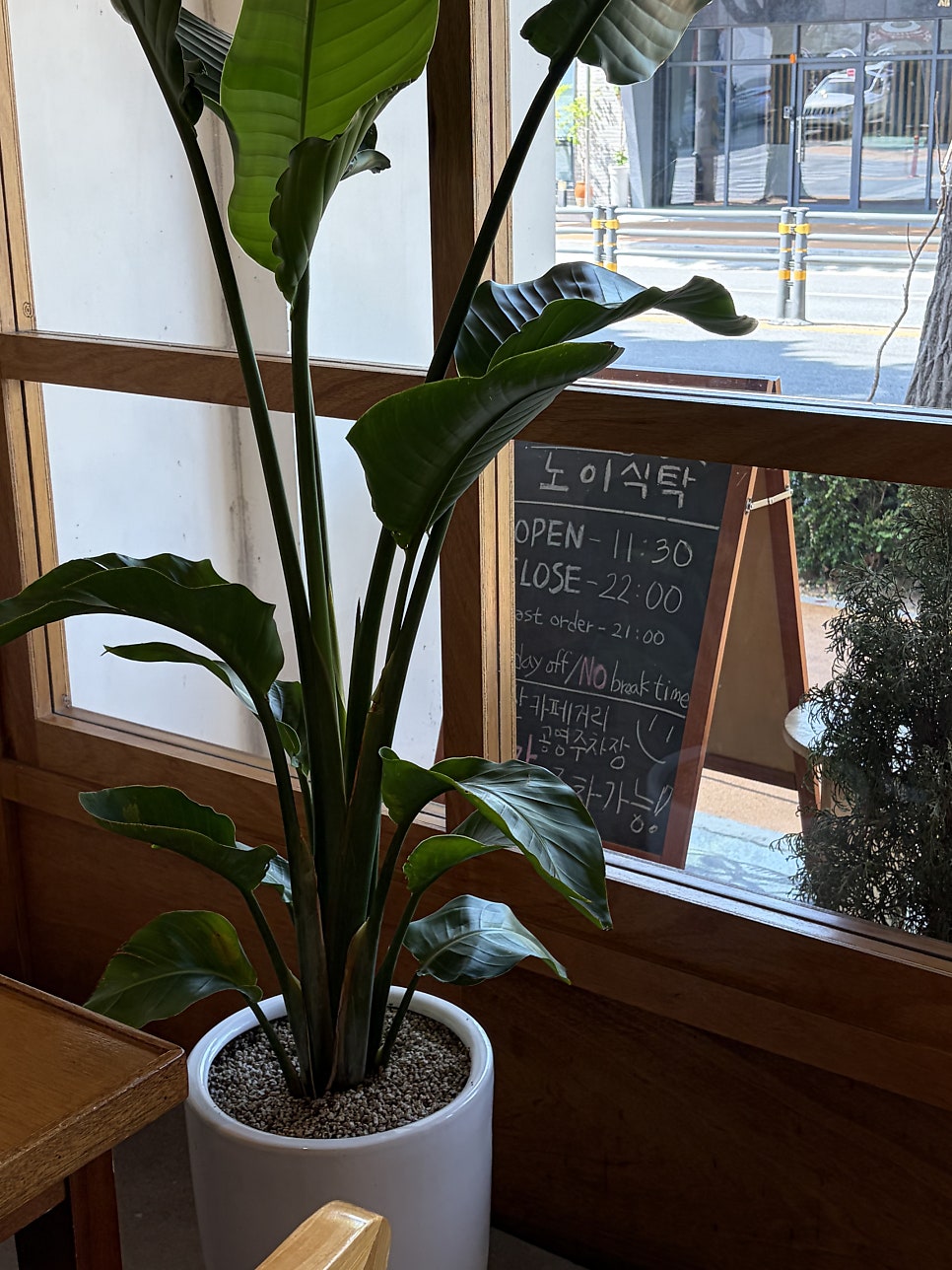 노이식탁 사진 3