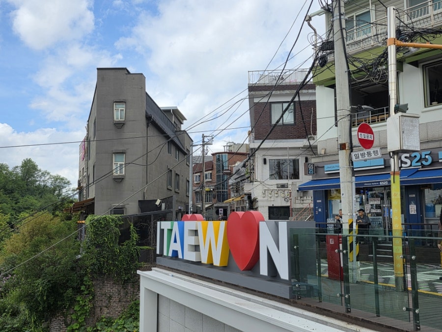 핌피 사진 1