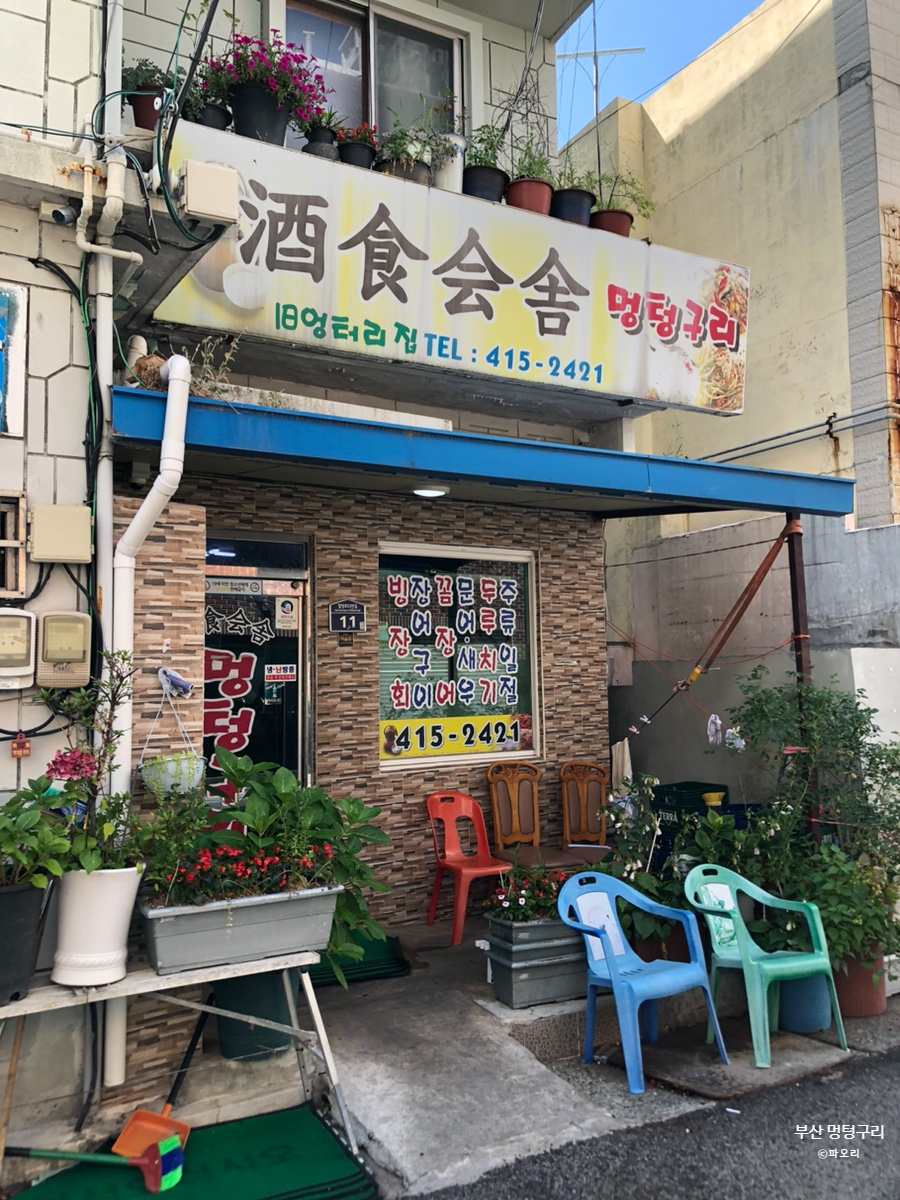 멍텅구리 사진 2