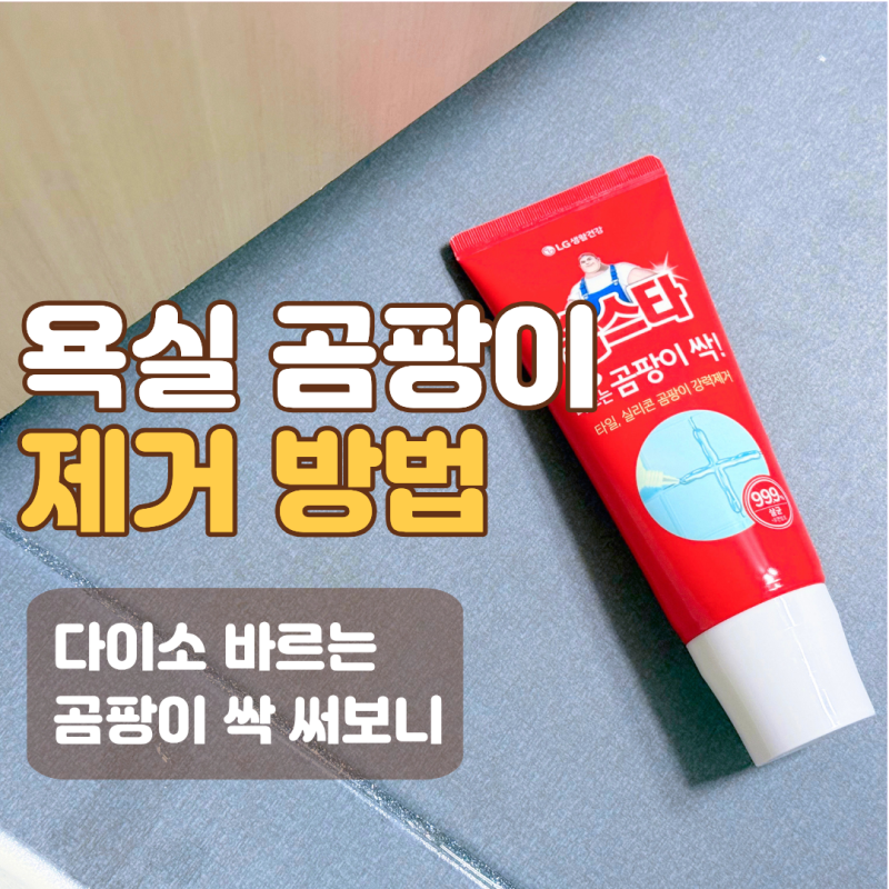 욕실 곰팡이 제거 방법, 다이소 바르는 곰팡이 싹 직접 써보니