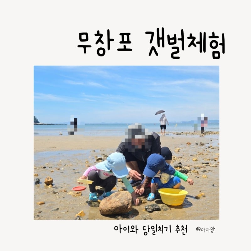 무창포해수욕장 갯벌체험 후기｜아이와 조개 잡기 좋은 서해 바다