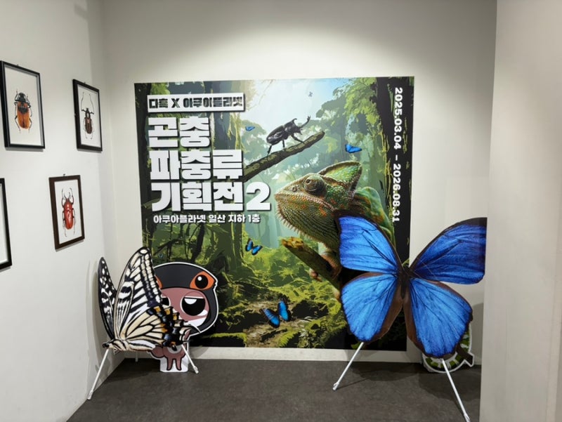 다흑 X 아쿠아플라넷일산 :: 이색전시 곤충파충류기획전2 솔직 후기 실내 데이트 추천
