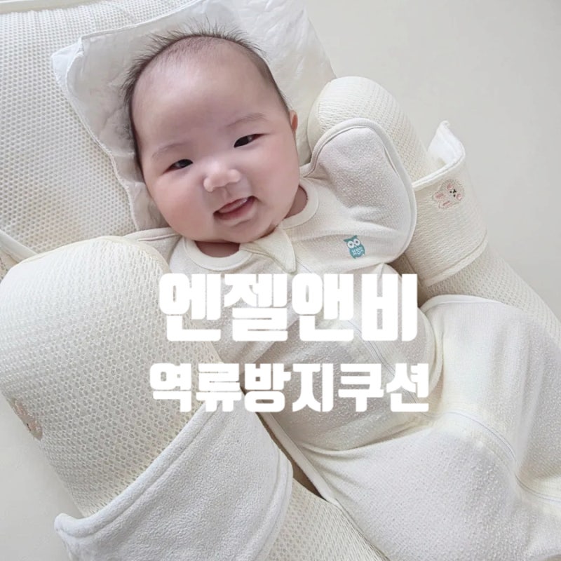 [엔젤앤비] 역류방지쿠션/엔젤앤비 역방쿠 토쟁이아가들 모여보세요. 역류방지쿠션 추천 들....