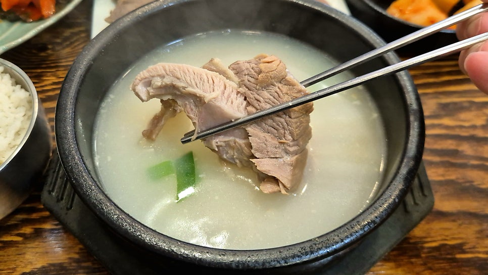 청화백 사진 1