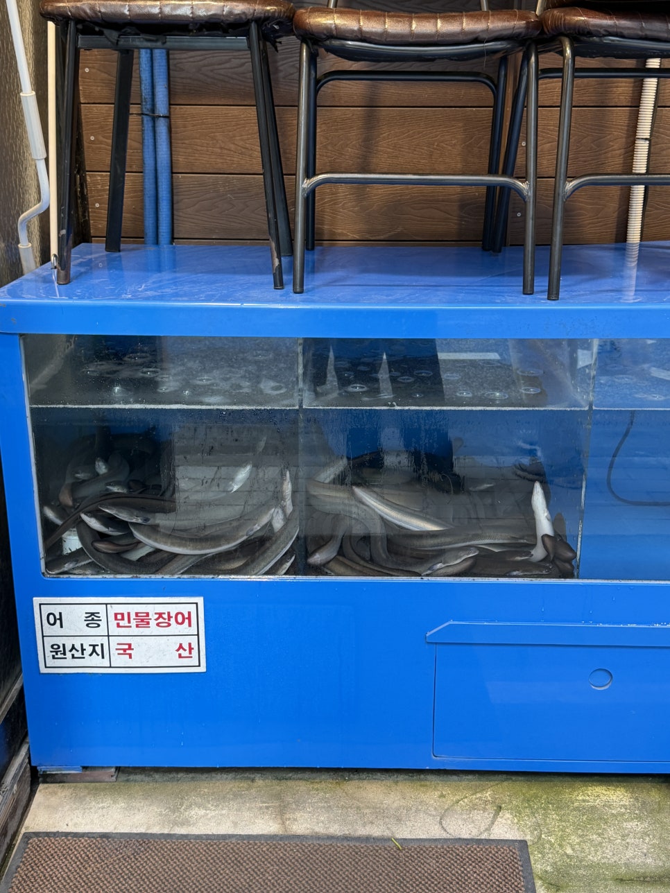 검단양만 사진 4