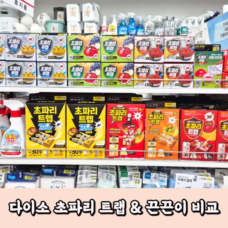 다이소 초파리 트랩 끈끈이 종류 총정리
