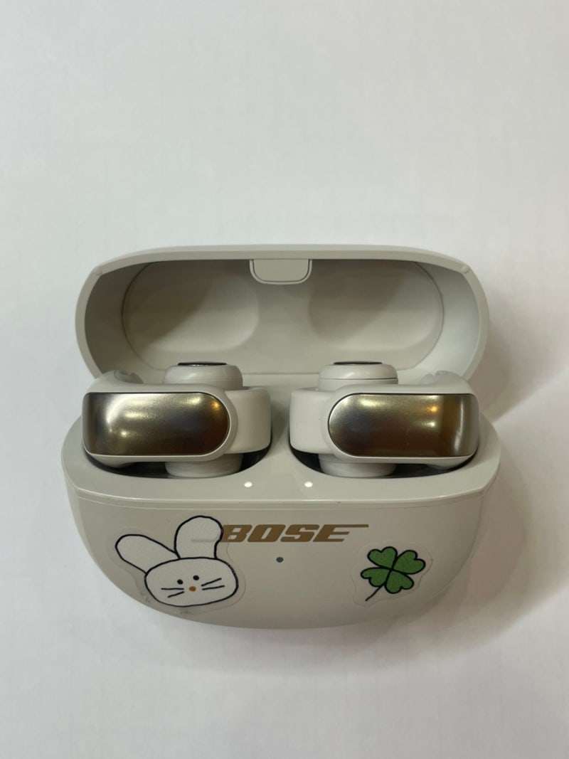 보스(BOSE) 울트라 오픈 이어버드 1년 사용 후기(외이도염 환자의 이어폰 일대기)