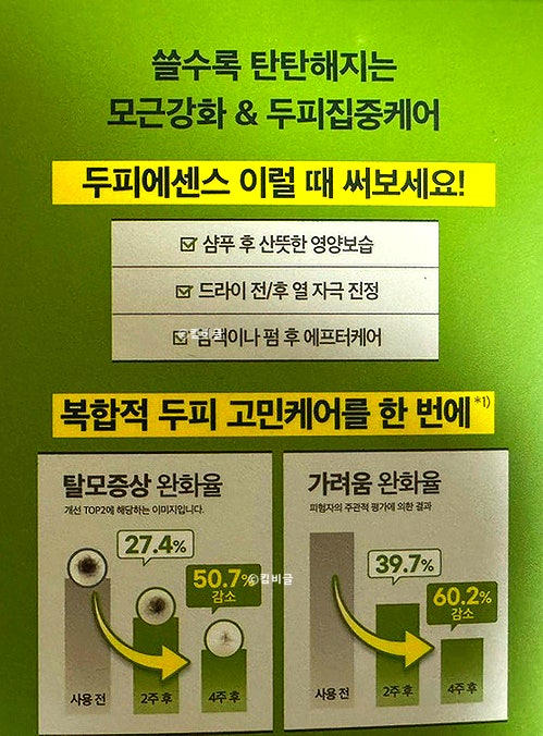 올리브 사진 6