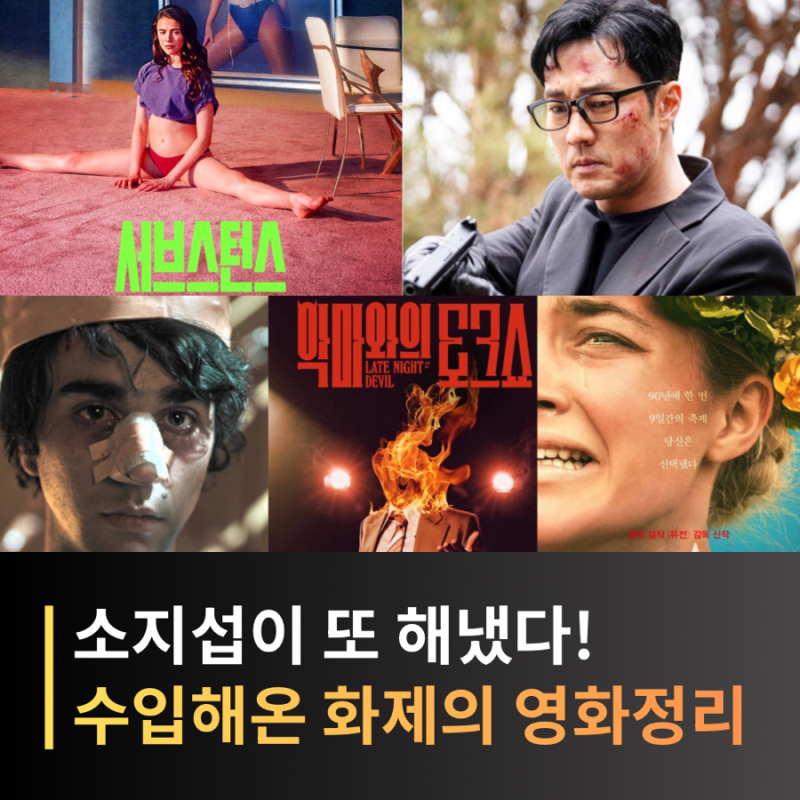 소지섭이 투자, 수입한 해외 영화 총정리! 유전·미드소마·서브스턴스 등 OTT 총정리