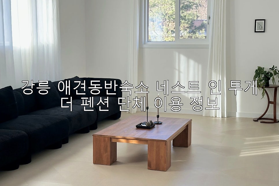 투게더펜션 사진 1