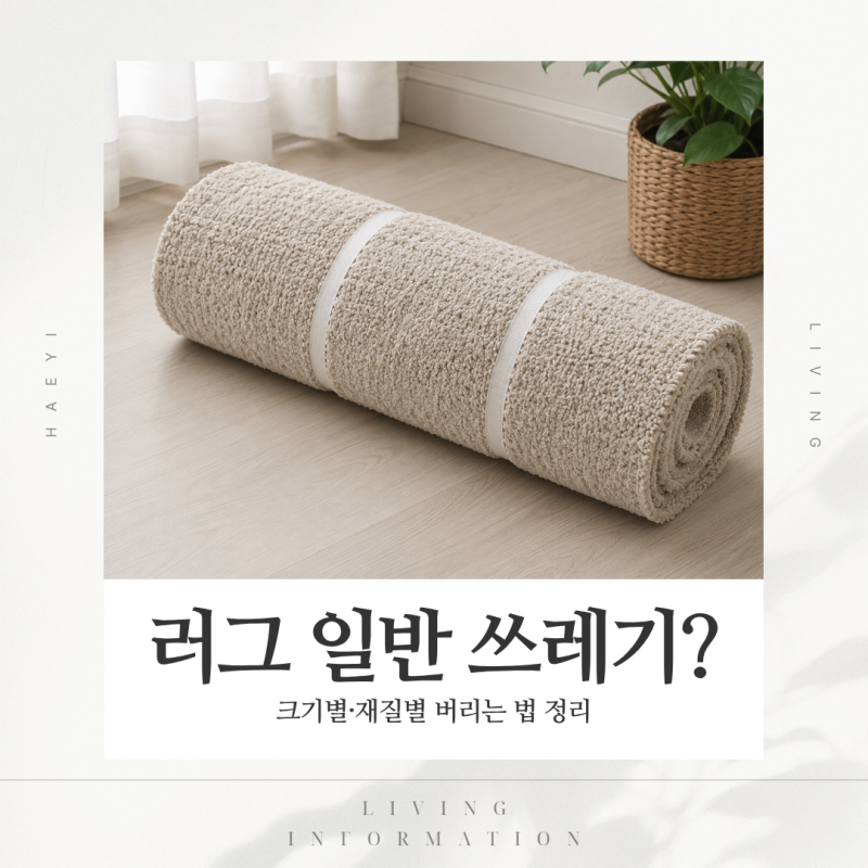 러그 그냥 버렸다가 과태료? 카페트 매트 크기별 올바른 배출 방법