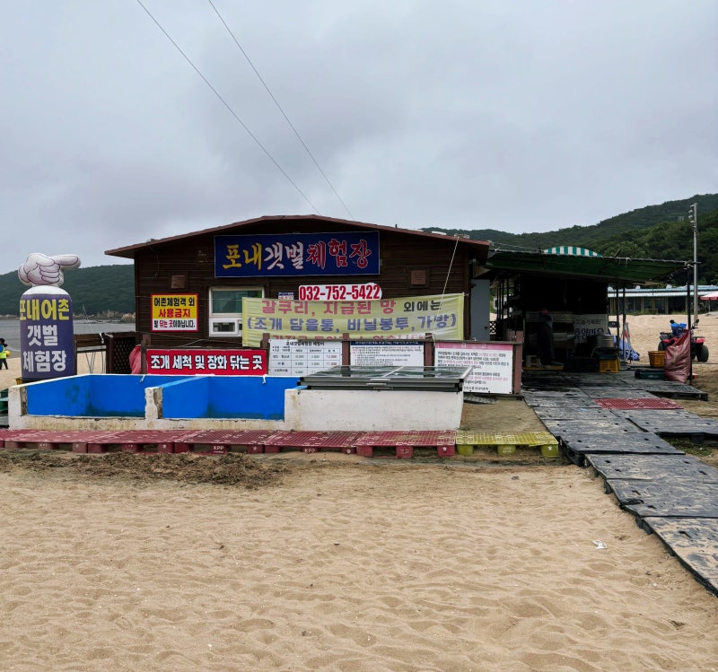 하나개해수욕장 포내갯벌체험장 주차정보 무의도 포내어촌마을체험갯벌체험후기 개꿀잼 :)
