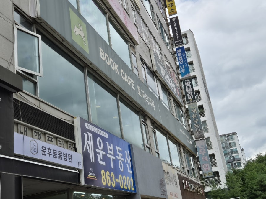 북카페 토끼의지혜 사진 2